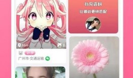 跑酷最新爆料视频大全下载,一窥极限运动风采瞬间