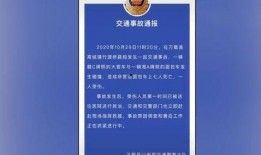 武汉宠物爆料事件最新进展,最新进展揭示真相与后续处理