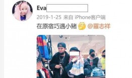 jj红运爆料最新,揭秘明星运势新动向，揭秘娱乐圈神秘力量