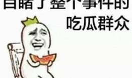 吃瓜群众在线免费观看完整版芒果,揭秘吃瓜群众在线观看完整版秘籍