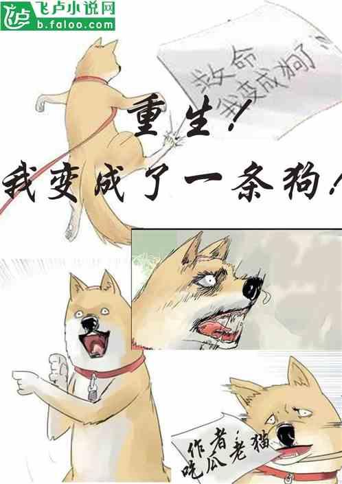 娱乐吃瓜猫捉鸟小说